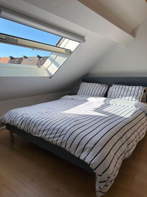 Villa Large Quiet Whole House Near Historic Centre Gand